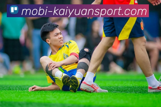 开元体育平台生态图